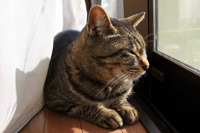 20090101_mami1